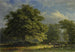 Vue dans la skov i Bentheim - George Andries Roth — visning af kunstværket