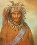 Stormfuglen Maleri af Aunimmuckkwaum - George Catlin — visning af kunstværket