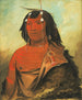 George Catlin — visning af kunstværket