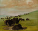 Bisons i en vandpøl - George Catlin — visning af kunstværket
