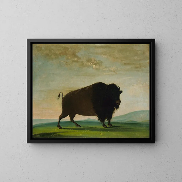 Bævrede i græsset - George Catlin — indrammet kunstværk på væggen