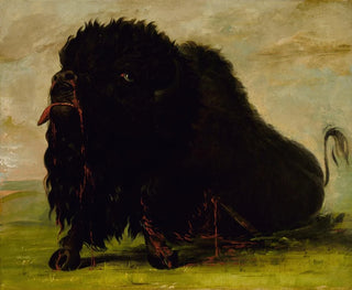 Bison døende ramt af en pil - George Catlin — visning af kunstværket