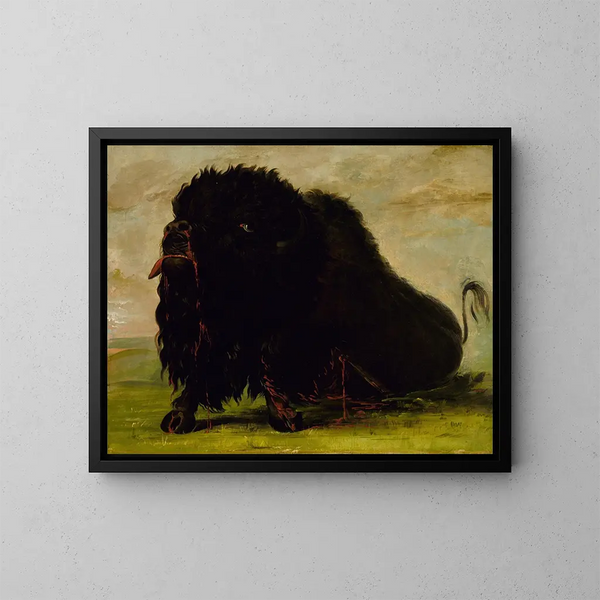 Bison døende ramt af en pil - George Catlin — indrammet kunstværk på væggen