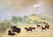 Elan og bison, der lærer hinanden at kende i Texas - George Catlin — visning af kunstværket