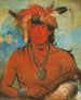 Hh-Je-Day-Ah-Shee Møde med modige fugle - George Catlin — visning af kunstværket