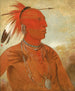 Lawhhecootslashwno Brave Chief og Skidi Wolf Pawnee - George Catlin — visning af kunstværket