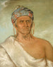 George Catlin — visning af kunstværket
