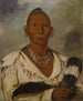 Mk-a-tah-mish-o-khaik Black Hawk, frontfigur i sæk - George Catlin — visning af kunstværket