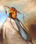 Nonondgon en chef - George Catlin — visning af kunstværket
