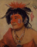 Pah-shee-nu-shaw en kriger - George Catlin — visning af kunstværket