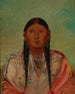 Ru-Ton-Wee-Me Pigeon sur l'aile - George Catlin — visning af kunstværket