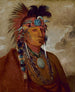 Sh-Me-Ks Se ulven som en leder - George Catlin — visning af kunstværket