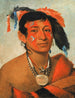 Sha-W-No Le Sud, en anerkendt kriger - George Catlin — visning af kunstværket