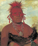 Chef des chevaux Shn-Ka-Ki-Hega Store chef des Pawnee - George Catlin — visning af kunstværket