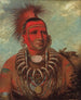 Shon-Ta-Yi-Ga Lille Ulv Maleri, en berømt kriger - George Catlin — visning af kunstværket