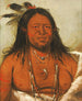 Ta-Wh-Que-Nah Montagne des Rochers Anden Chef for Triben - George Catlin — visning af kunstværket