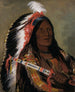 Th-Tck-A-Da-Hir Steep Wind, et modigt hold af The Bad Arrow Points - George Catlin — visning af kunstværket