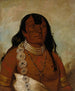 Th-Tot-Sah bedre kendt som Tohausen Little Bluff First Chief - George Catlin — visning af kunstværket