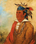WahPnJeeA Svanen en Kriger - George Catlin — visning af kunstværket