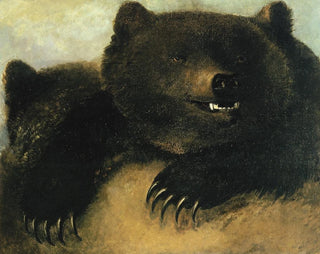 George Catlin - Weapons and Physiognomy of the Grizzly Bear.webp