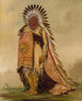 WnEeTon Chef de la tribu - George Catlin — visning af kunstværket