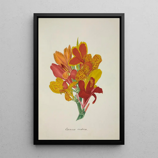 George De Alwis - Mon Jardin a Ceylan Pl052.webp