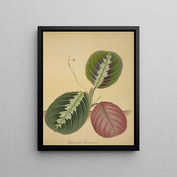 George De Alwis - Mon Jardin a Ceylan Pl094.webp