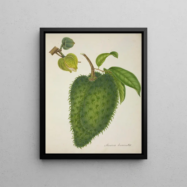 George De Alwis - Mon Jardin a Ceylan Pl133.webp