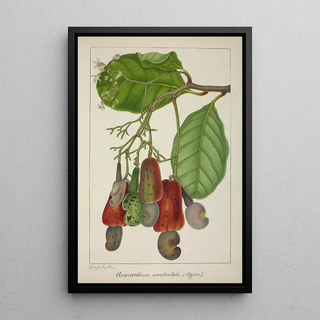 George De Alwis - Mon Jardin a Ceylan Pl139.webp