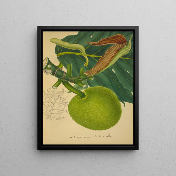 George De Alwis - Mon Jardin a Ceylan Pl152.webp