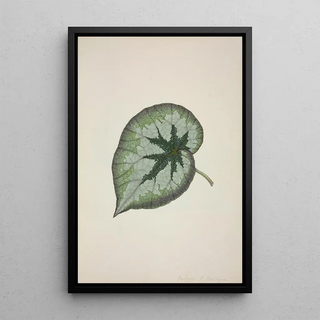 George De Alwis - Mon Jardin a Ceylan Pl167.webp