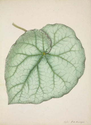 George De Alwis - Mon Jardin a Ceylan Pl188.webp