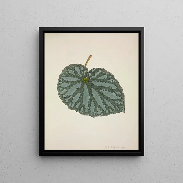 George De Alwis - Mon Jardin a Ceylan Pl200.webp