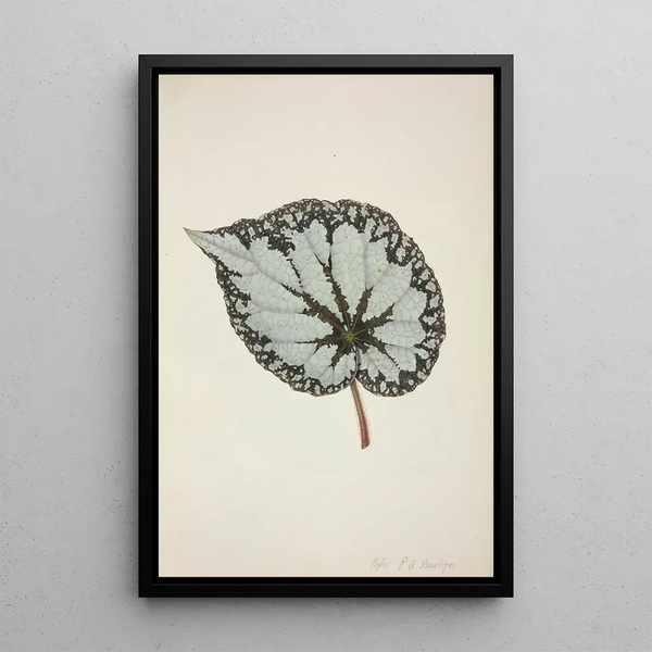 George De Alwis - Mon Jardin a Ceylan Pl210.webp
