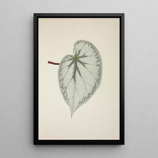 George De Alwis - Mon Jardin a Ceylan Pl238.webp