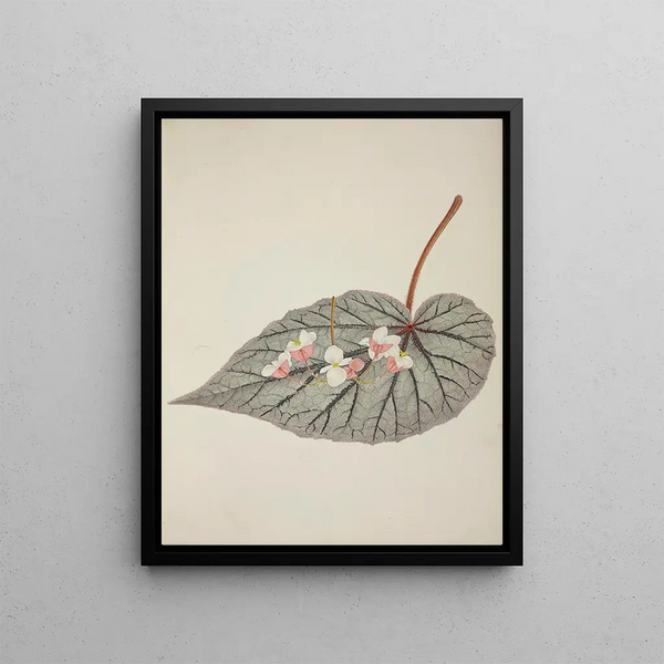 George De Alwis - Mon Jardin a Ceylan Pl244.webp