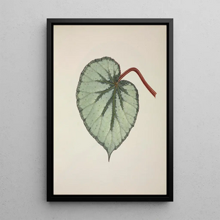 George De Alwis - Mon Jardin a Ceylan Pl254.webp