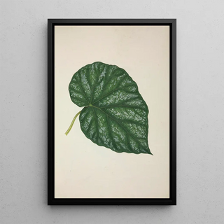 George De Alwis - Mon Jardin a Ceylan Pl261.webp