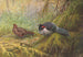 Nepal Kaleege - George Edward Lodge — visning af kunstværket