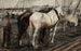Chevaux de travail au Houthaven, Amsterdam - George Hendrik Breitner — visning af kunstværket