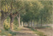 Allée d'arbres - George Henry Smillie — visning af kunstværket