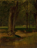 Ruisseau à truites af North Conway - George Inness — visning af kunstværket
