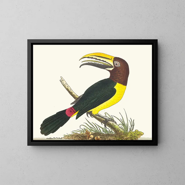 Grøn Toucan Maleri - George Shaw — indrammet kunstværk på væggen