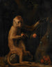 En abe - George Stubbs — visning af kunstværket