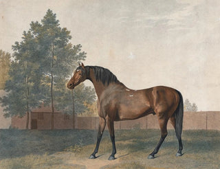 Enclume - George Stubbs — visning af kunstværket