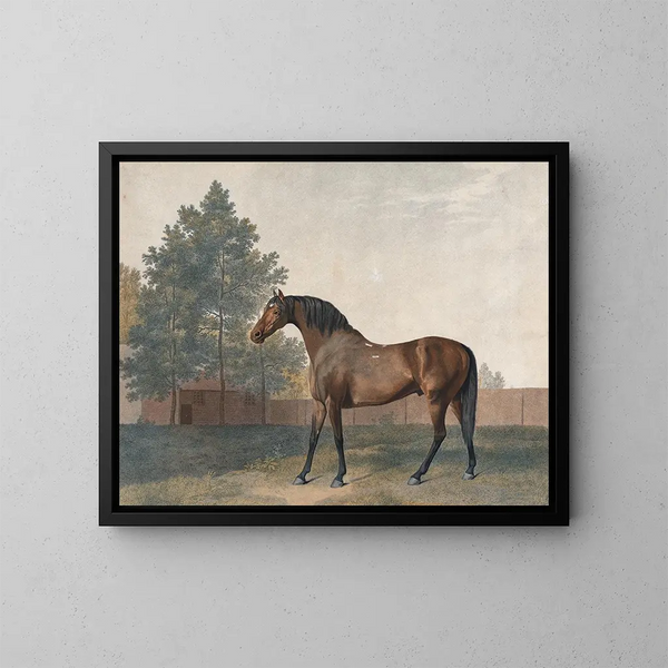 Enclume - George Stubbs — indrammet kunstværk på væggen