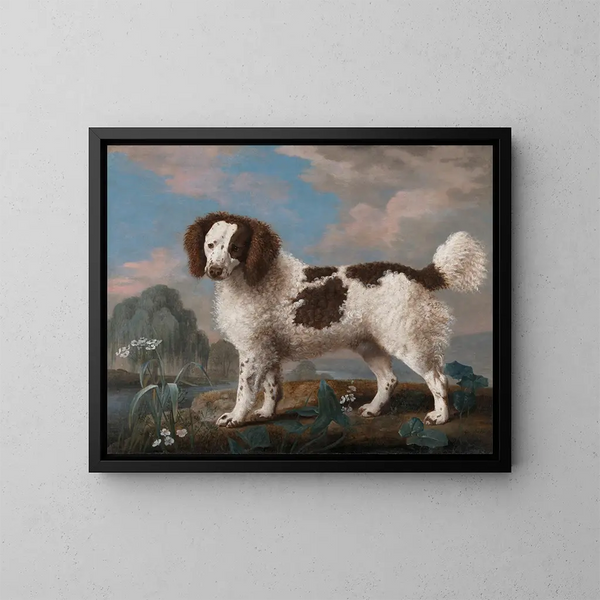 Norfolk spaniel brunt og hvidt - George Stubbs — indrammet kunstværk på væggen