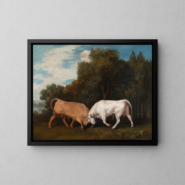 Combat de taureaux - George Stubbs — indrammet kunstværk på væggen