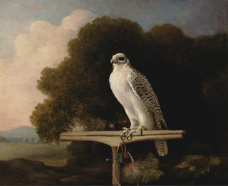 Faucon du Groenland - George Stubbs — visning af kunstværket
