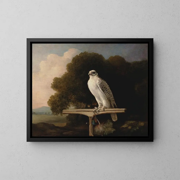 Faucon du Groenland - George Stubbs — indrammet kunstværk på væggen